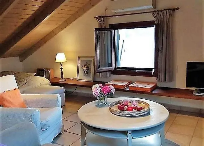 Apartment Cavos - Loft In Assos With Amazing View Asos